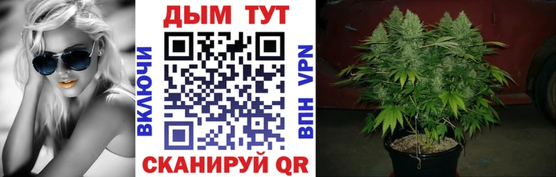 Канабис THC 21%  Тверь 